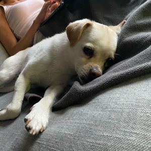 Meet your Posher, Jeffeey